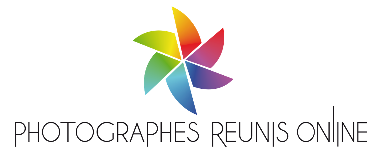 Logo client PRonline.fr